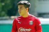 articulo relacionado